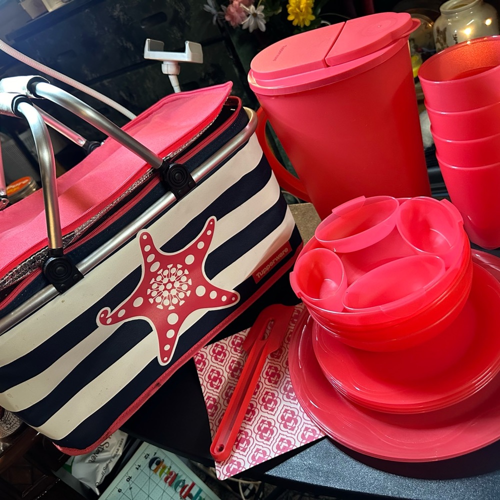 Vintage collapsible, Tupperware, picnic basket, Seaside collection